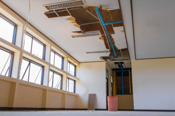 Best 24/7 water damage repair  in Bagley, MN