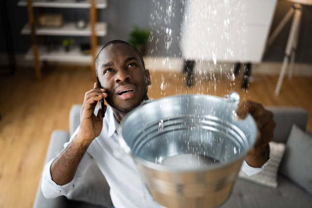 Best Emergency water damage restoration  in Bagley, MN