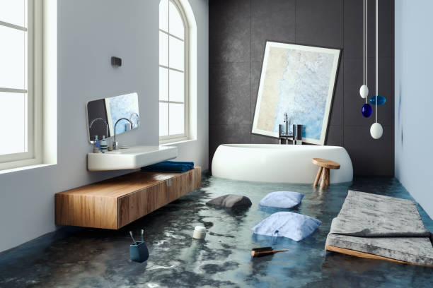 Best Water damage restoration near me  in Bagley, MN
