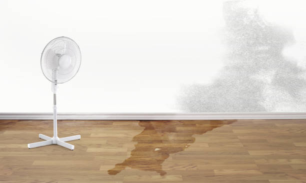 Best 24-hour water damage restoration  in Bagley, MN