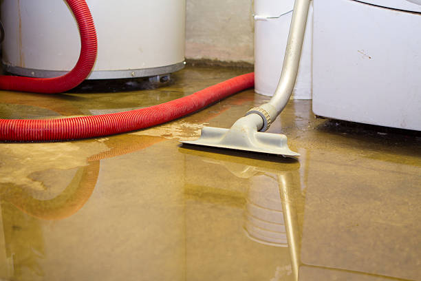 Best Residential water damage restoration  in Bagley, MN