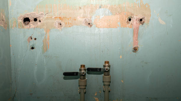 Best Emergency water extraction  in Bagley, MN