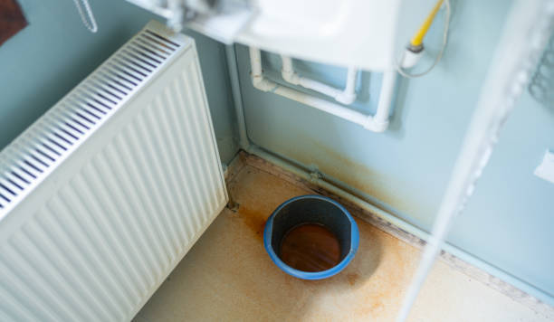 Best Commercial water damage restoration  in Bagley, MN