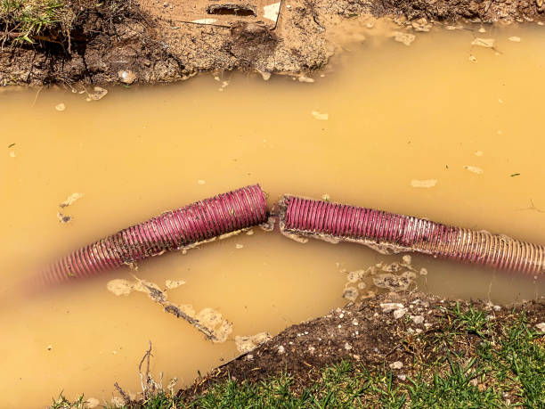 24/7 water damage repair in MN